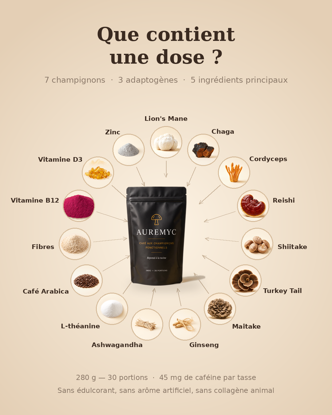 Composition du café Auremyc : café Arabica biologique, six champignons fonctionnels et fibres prébiotiques